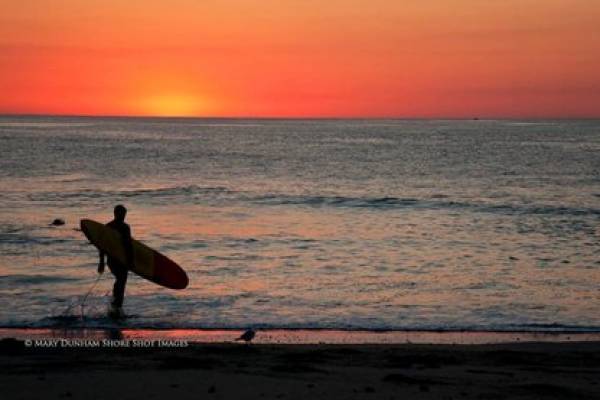 Jersey Shore Bay Block Rentals